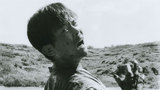 Pitfall